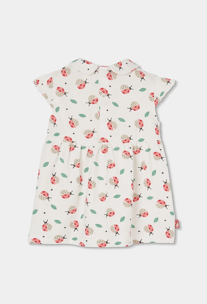 Vestido bebé punto con estampado