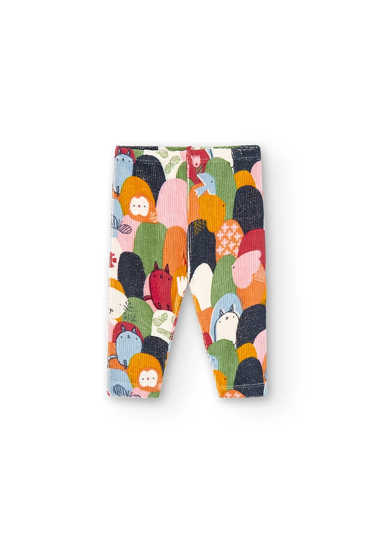 Pack knit for baby girl -BCI