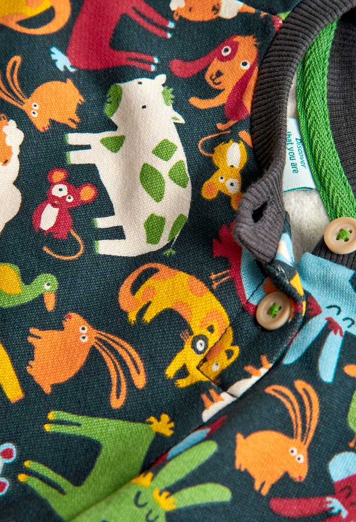 Pack knit for baby boy -BCI