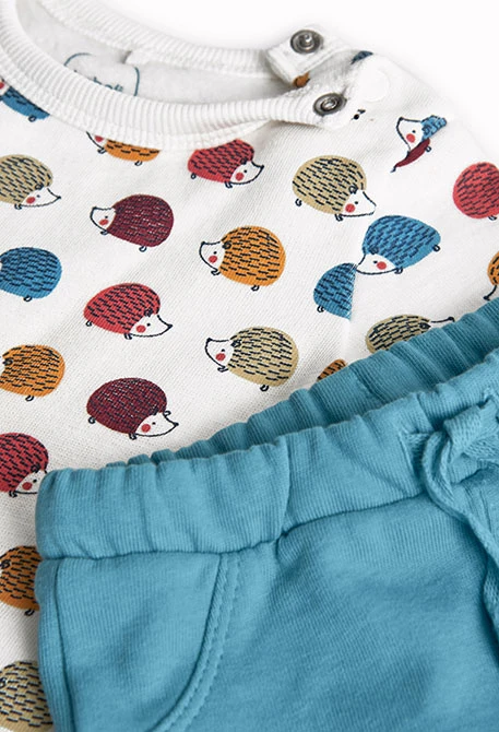 Strickset für Babys mit Igeln