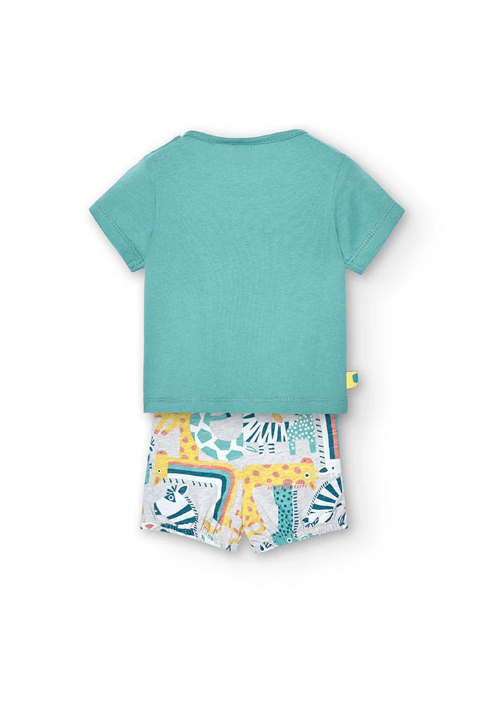 Baby boy knit pack in green