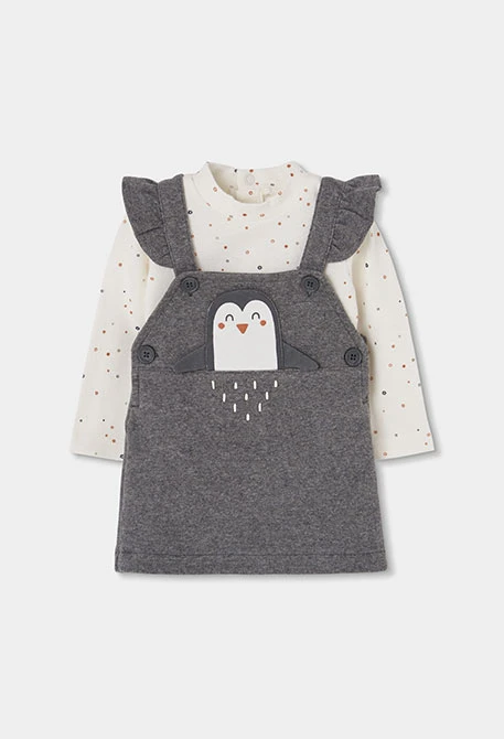 Baby girl grey vigore knit set with penguin