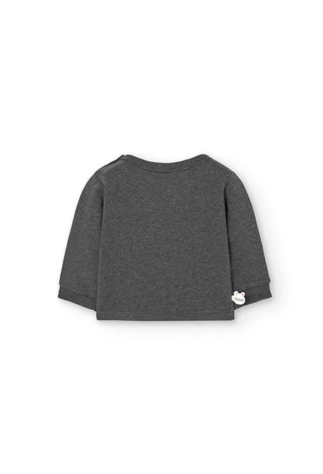 2tlg. Set mit Sweatshirt und Hose aus Frottee für Baby-Jungen in Grau