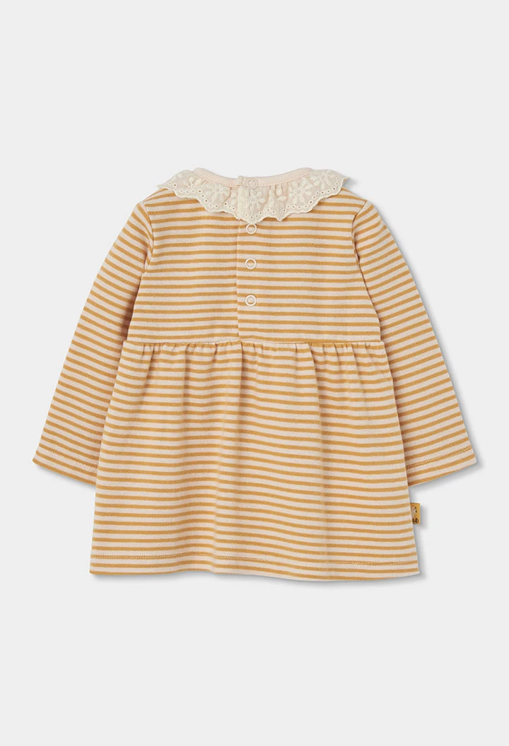 Robe en maille rayée moutarde bébé avec col en dentelle