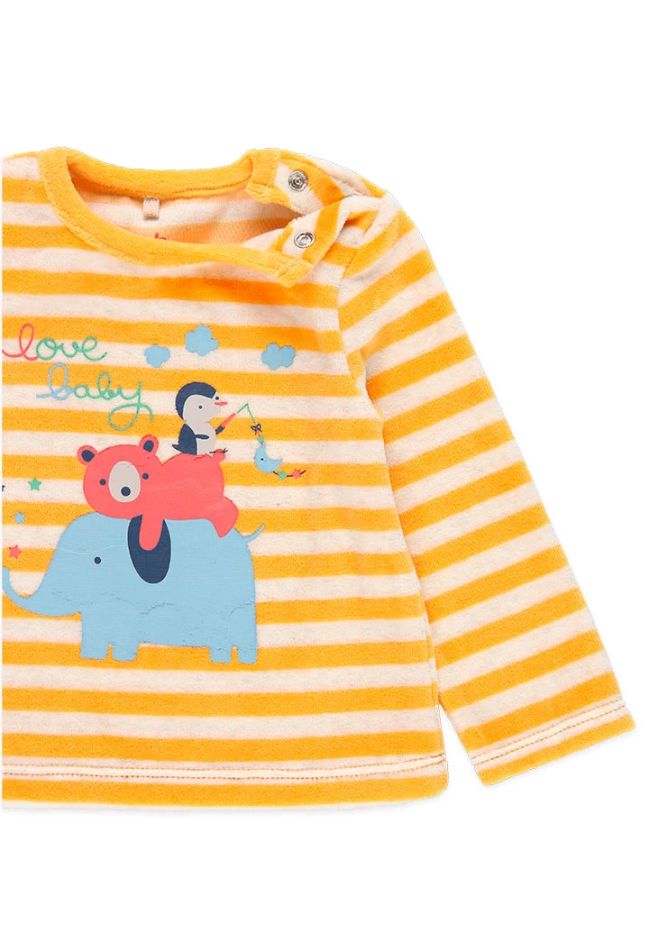 Pack pour bébé - organique