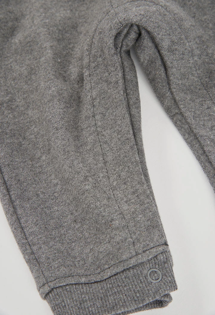 Ensemble bébé garçon gris chiné imprimé pingouin
