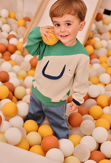 Pull bébé garçon vert imprimé éléphant
