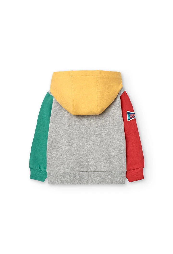 Sweatshirt für Baby-Jungen in Grau mit Kapuze