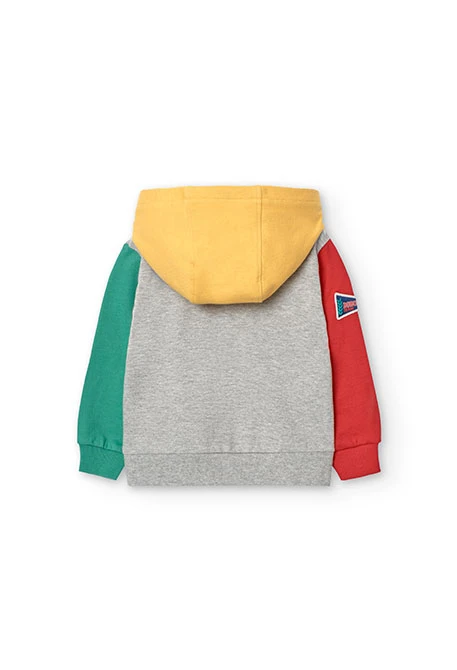 Sweatshirt für Baby-Jungen in Grau mit Kapuze