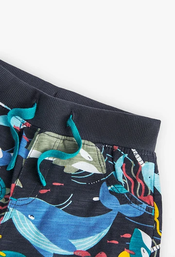 Strick-Bermuda-Shorts in Flamé, bedruckt, für Baby-Jungen