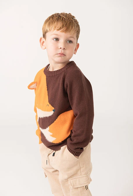 Pull garçon marron imprimé animal