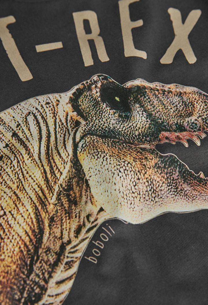 Camiseta punto de bebé niño "dinosaurio"-BCI