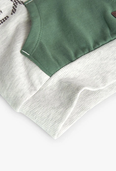 Sweatshirt für Baby-Jungen in Grau mit Aufdruck