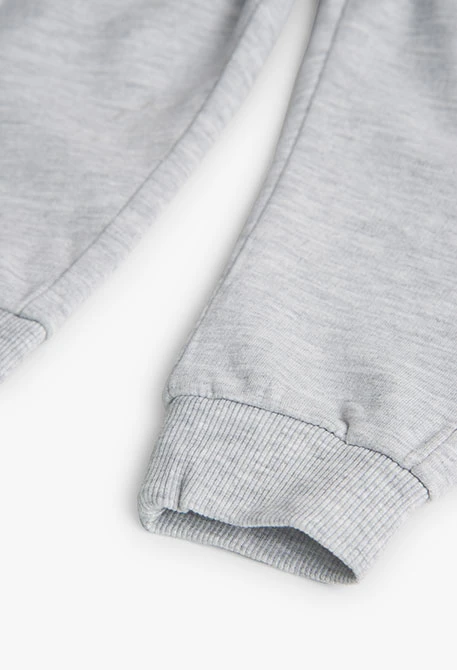 Baby boy's basic plush trousers in vigour grey