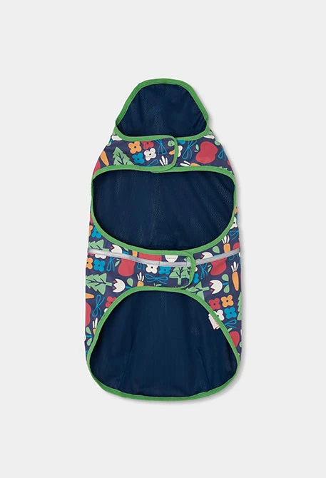 Impermeable per a gos estampat blau amb caputxa