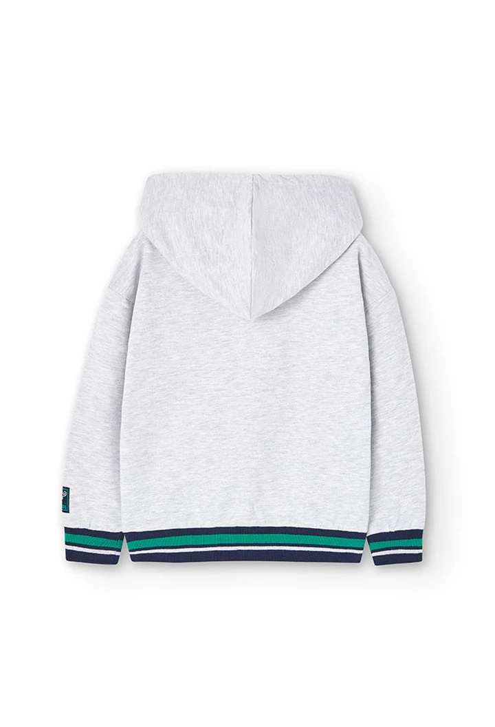 Sweat à capuche en molleton pour garçon en gris vigoré