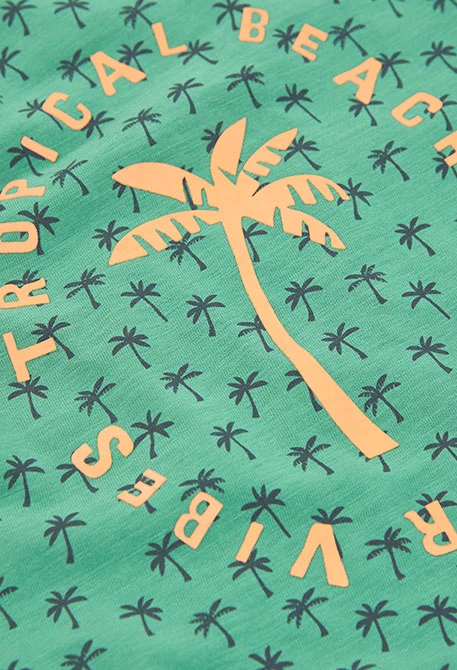 Camiseta niño algodón estampada verde