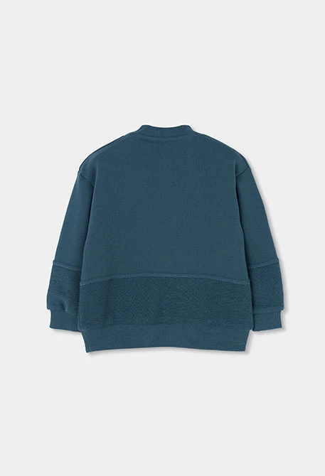Embroidered mountain green boys\' fleece sweatshirt