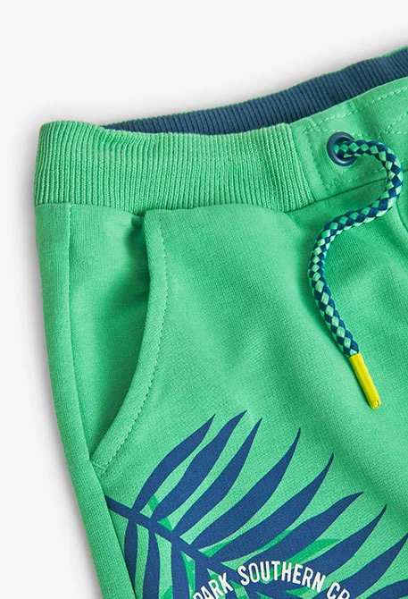 Boy's plush shorts with green print