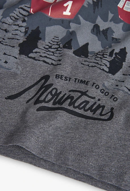 Jungen T-Shirt Baumwolle Grau Seilbahnen