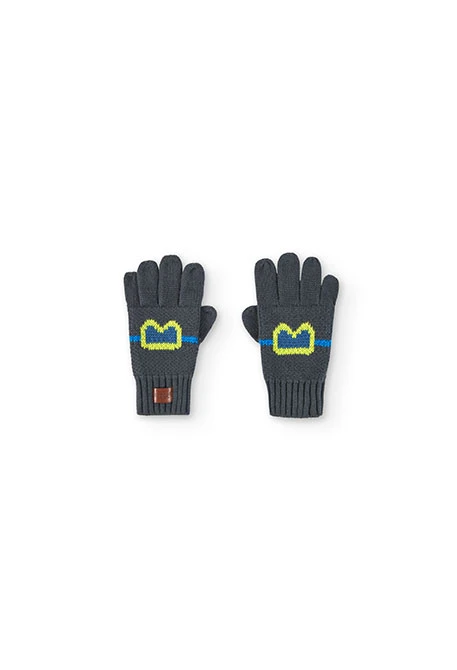 Gants gris lunettes de neige