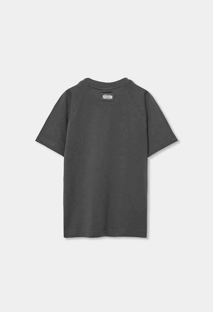 Camiseta niño algodón en gris