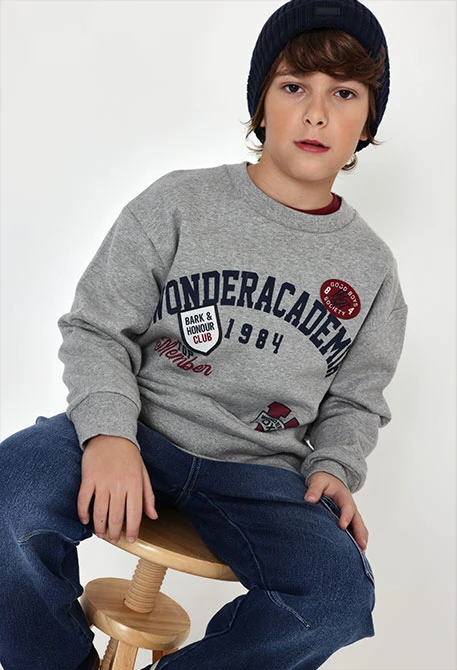 Sudadera felpa niño gris vigoré estampada