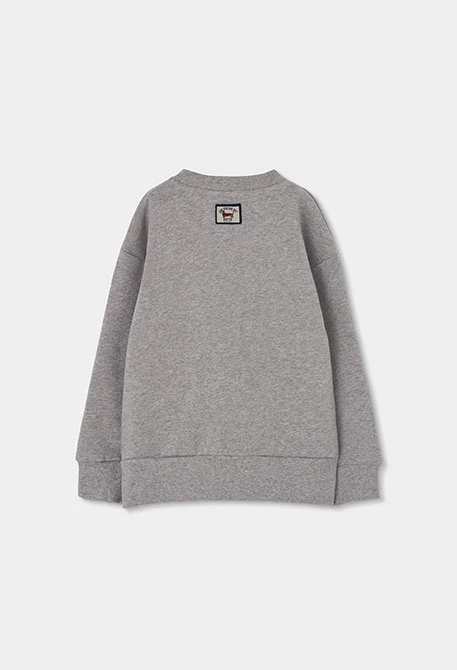 Sweat-shirt molleton garçon gris chiné imprimé