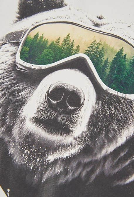 Camiseta de malha menino branca estampado urso