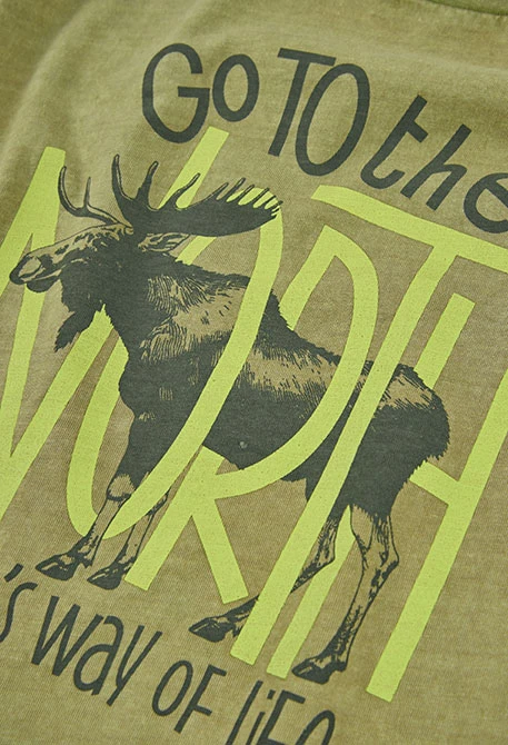 Camiseta de malha menino verde estampado alce