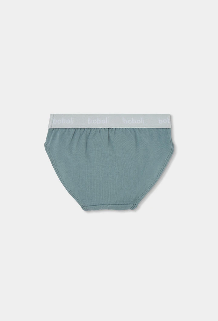 Pack 3 slips garçon bleu imprimé skate