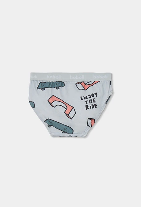 Pack of 3 skate print blue briefs