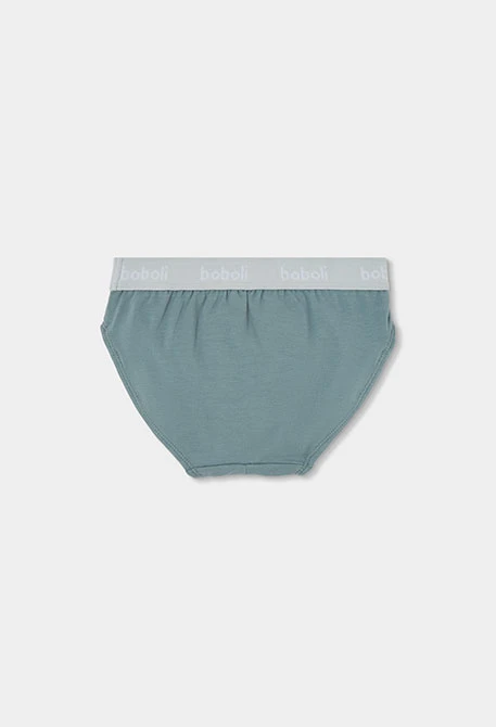 Pack of 3 skate print blue briefs