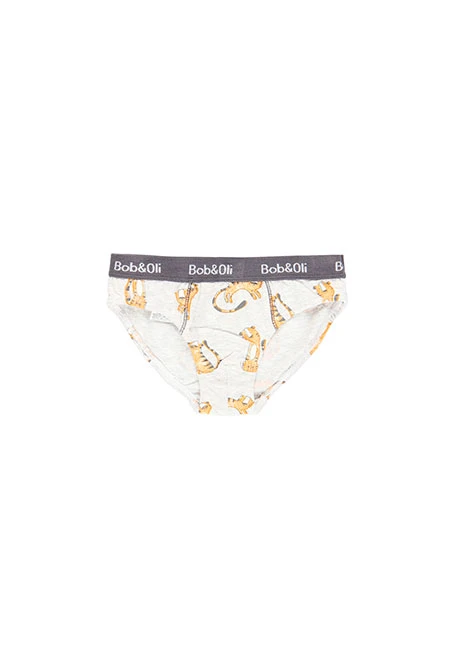 Pack de 3 slips pour garçon - organique