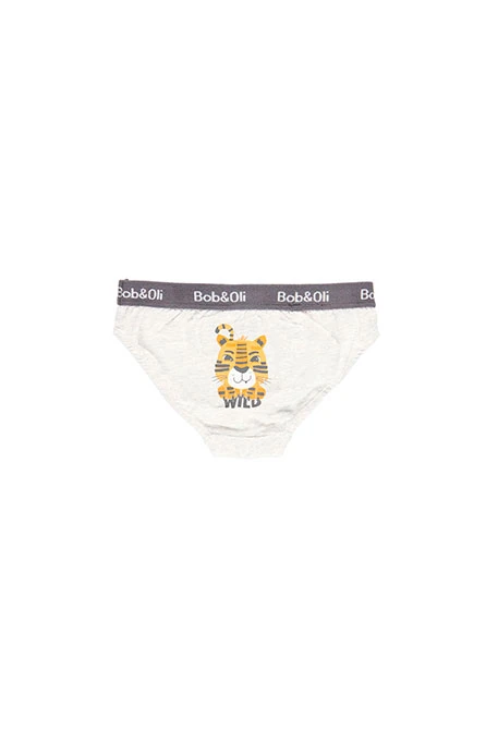 Pack de 3 slips pour garçon - organique