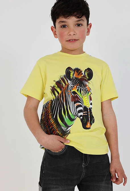 Camiseta niño algodón color lima zebra