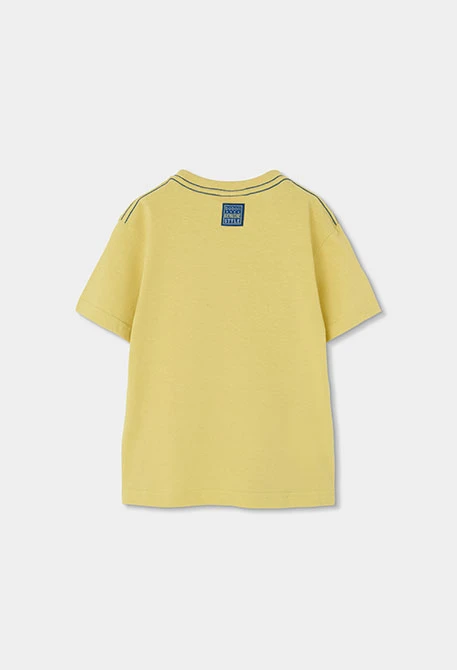 Camiseta criança algodão cor lima zebra