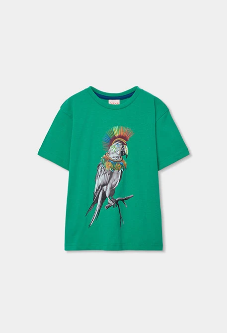 Camiseta niño algodón verde loro