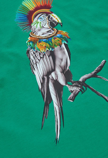 T-shirt enfant coton vert perroquet