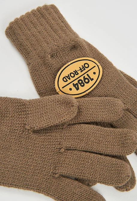 Grüner Handschuh mit Wappen