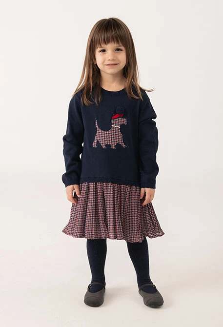 Kleid marineblau kariert