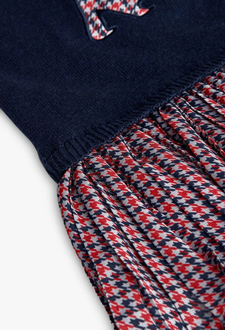 Navy blue check dress