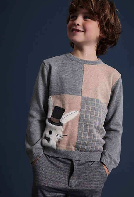 Boy´s grey bunny jumper