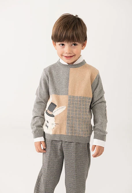 Boy´s grey bunny jumper