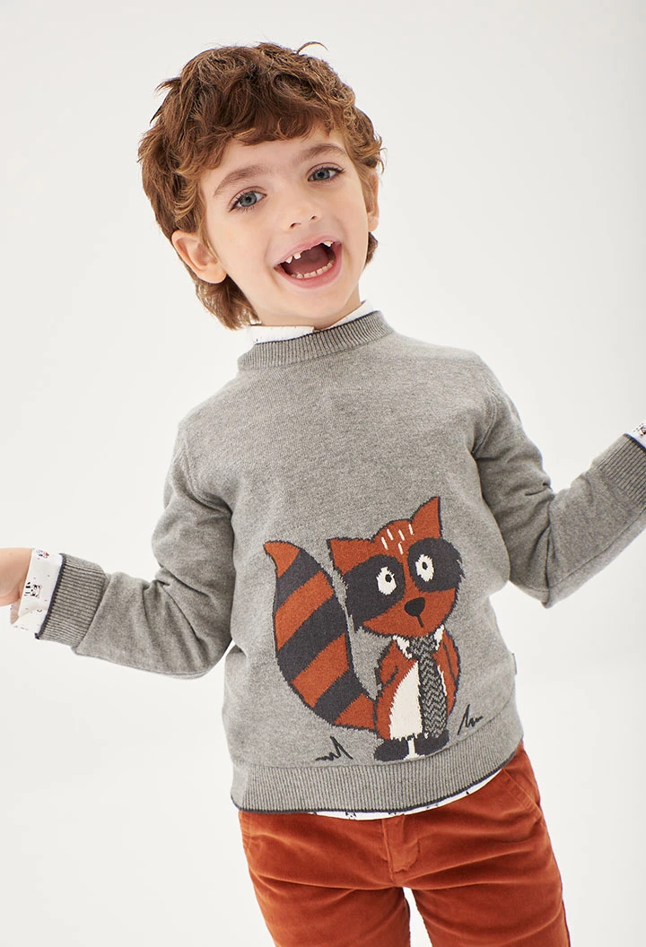 Pull pour bébé garçon -BCI