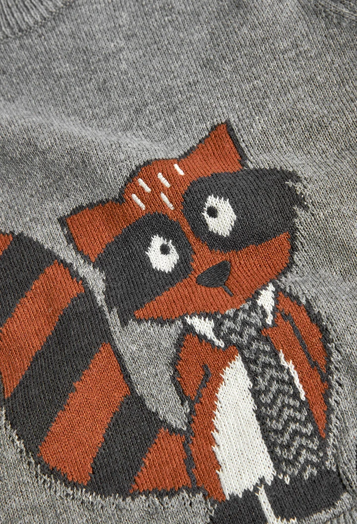 Pull pour bébé garçon -BCI