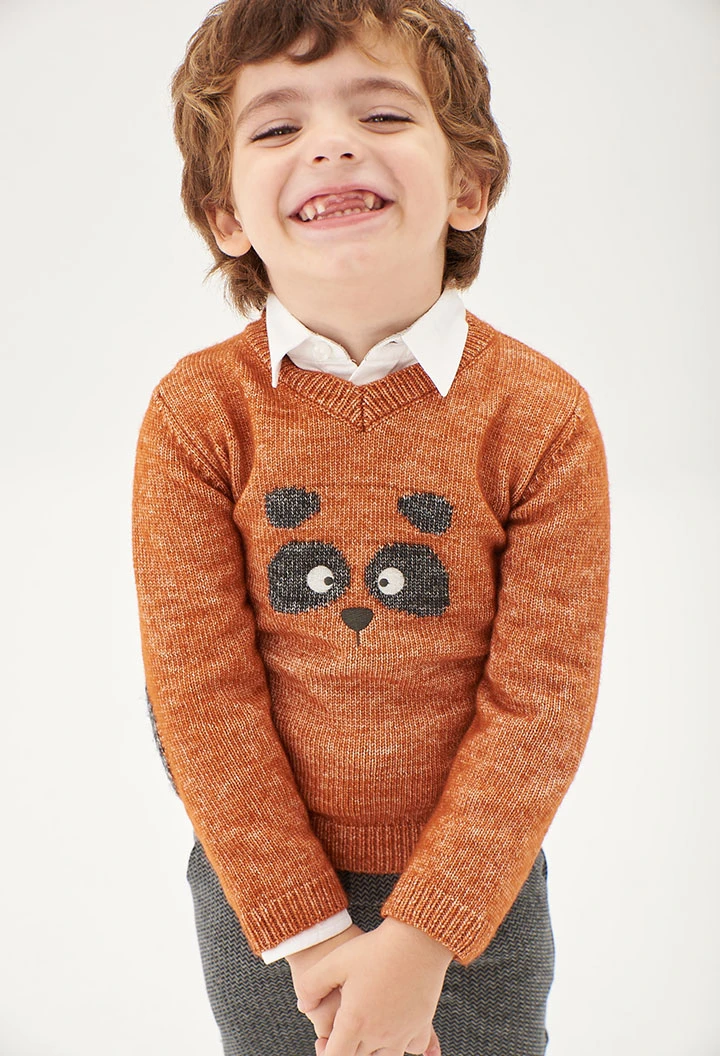 Baby boy pullover discount sweater