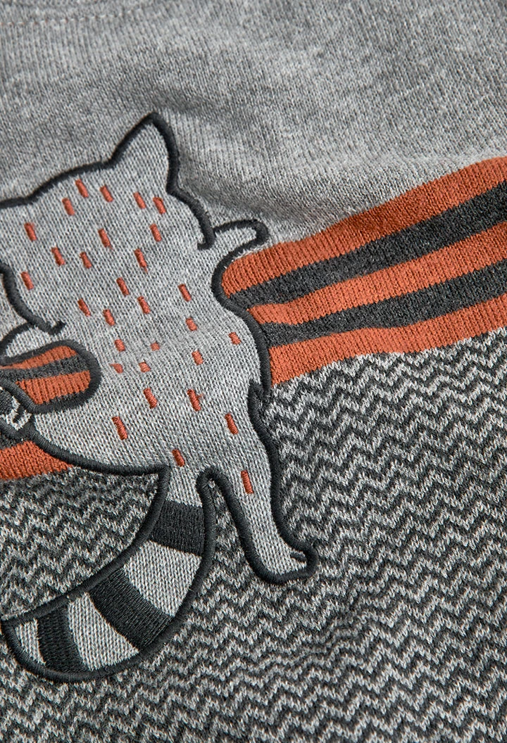 Pull pour bébé garçon -BCI