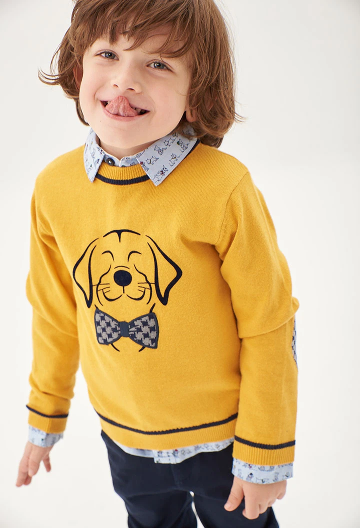 Pull pour bébé garçon -BCI