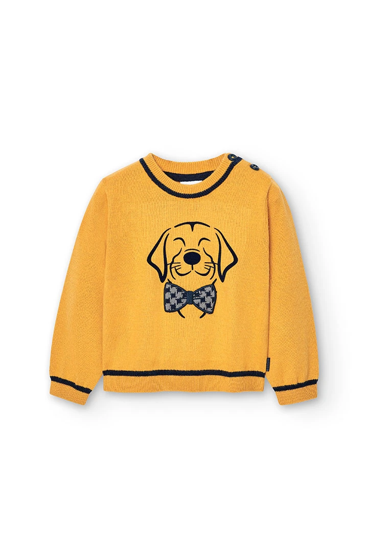 Pull pour bébé garçon -BCI